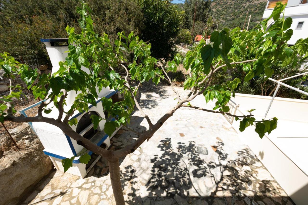 קאלי לימנס Theaktis Homes מראה חיצוני תמונה